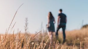 Evitando el Divorcio Estrategias Bíblicas para Cultivar un Amor que Perdura entaconadas