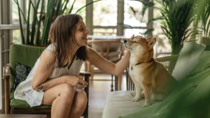 ¿Van al cielo las mascotas?