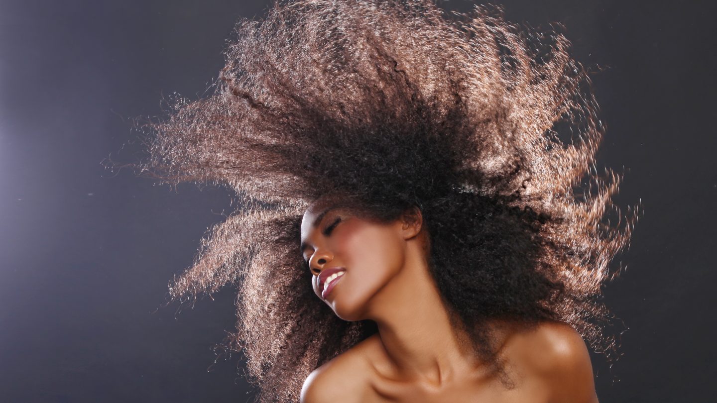 Stunning Portrait of an African American Black Woman With Big Ha